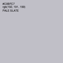 #C0BFC7 - Pale Slate Color Image